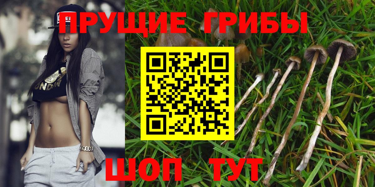 Галлюциногенные грибы GOLDEN TEACHER  Вход с VPN  Костомукша 