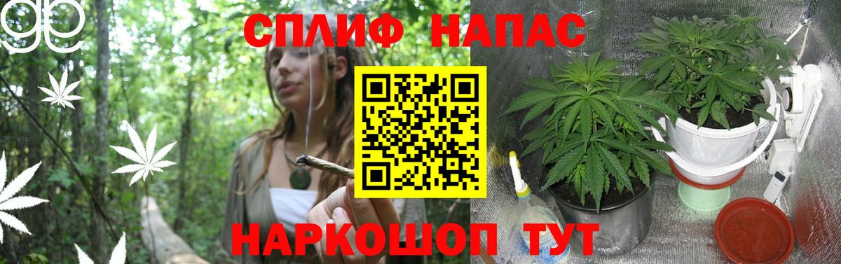 Шишки марихуана сатива  Бошки Шишки Ganja  Бошки Шишки Ganja  Костомукша  Вход с VPN 